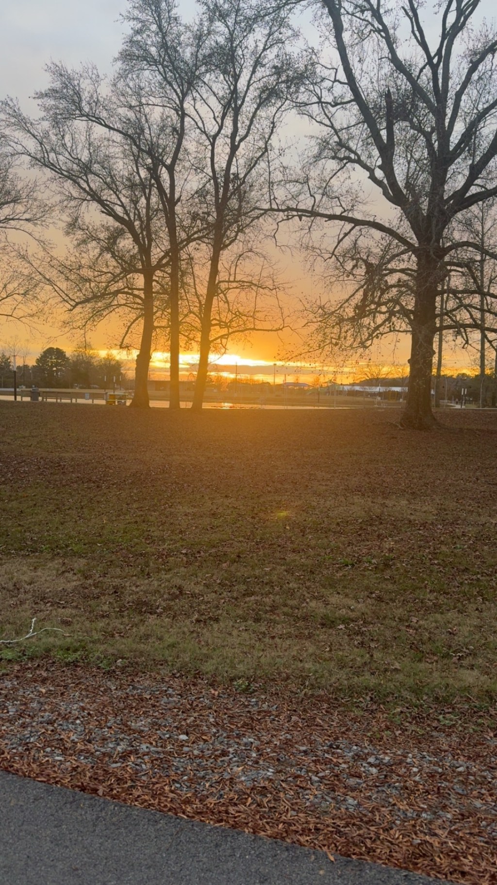 What Helps Me Stay Grounded When Life Gets&nbsp;Loud