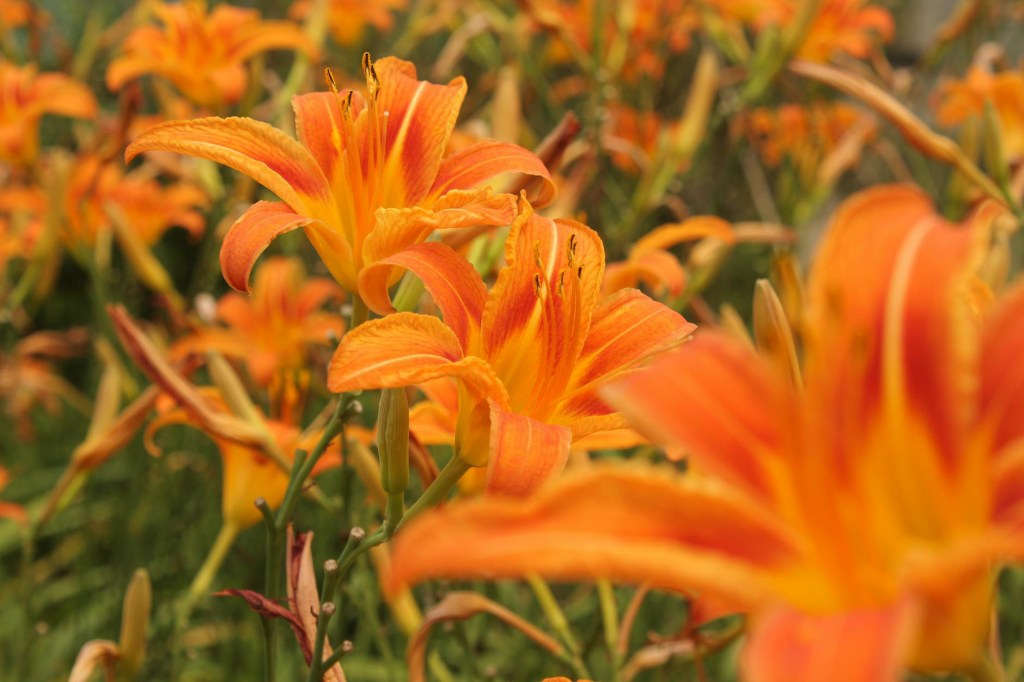 When Growing Still Feels Like Standing&nbsp;Still