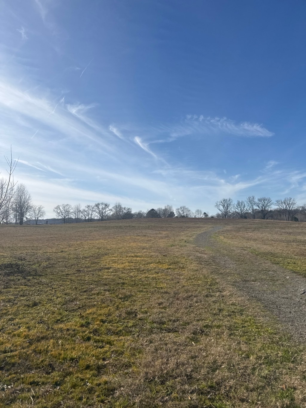 Double-Minded: When the Heart Is Divided